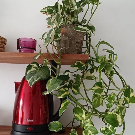 Appartamento The Happy Coresi