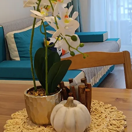 The Happy Coresi