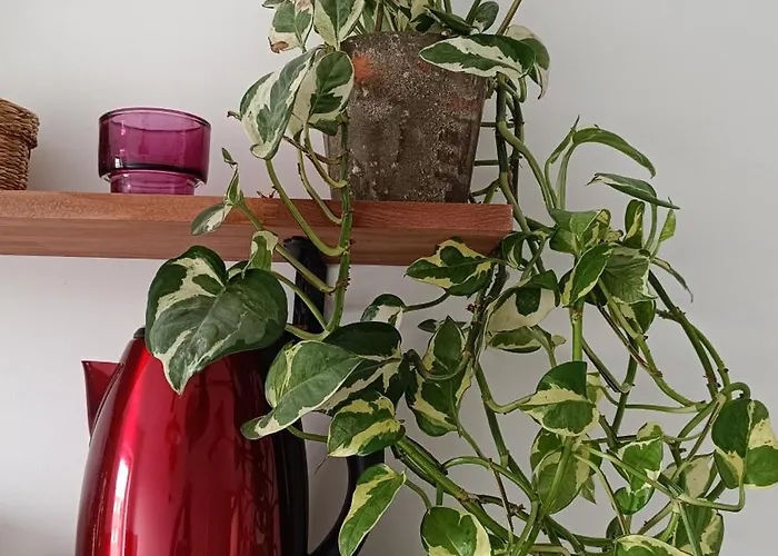 Διαμέρισμα The Happy Coresi