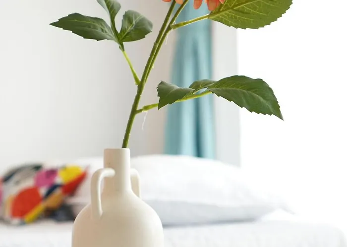 The Happy Coresi Διαμέρισμα Μπρασόβ