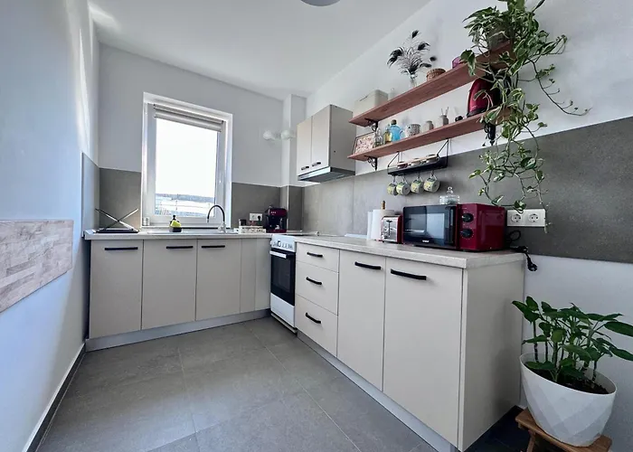 The Happy Coresi Διαμέρισμα Μπρασόβ